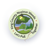 King County Noxious Weeds Let's Pull Together