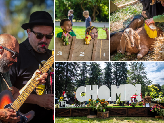 CHOMP! musicians, zucchini race, chomp wooden sign and goat being brushed. 