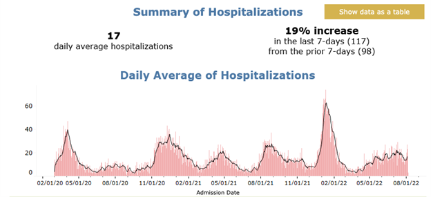 Snapshot of summary of hospitalizations