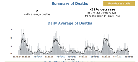 snapshot of summary of deaths
