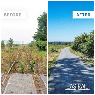 Before and after photo of new trail section in Woodinville.