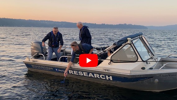 Executive Dow Constantine and community partners release kokanee salmon at sunset in Lake Sammamish. 