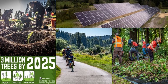 Tree plantings, solar array, volunteers and Three Million Trees