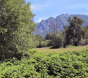 Mt. Si from Snoqualmie Valley
