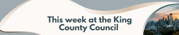 this week at council banner