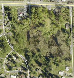 Cemetery Pond (aerial view)