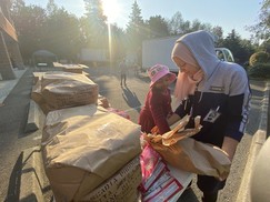 Woman sorts through vegetables in a box with a field and organizers loading boxes behind her. 