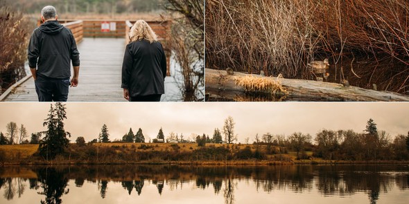 Collage of photos from Clark Lake Park. 