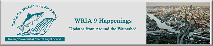 image of river and WRIA 9 logo of a salmon