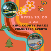 King County Parks volunteer