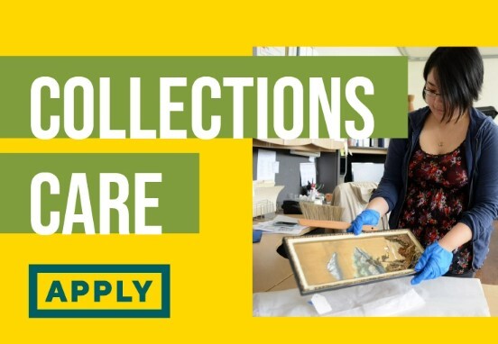 collections care grant