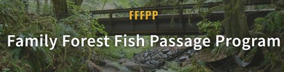 family forest fish passage