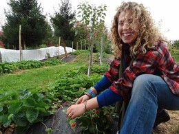 a smiling woman crouches low to the ground to harvest strawberries.  Caption: Volunteer at City Soil Farm and help grow food for local food banks.