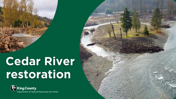 Cedar River Restoration Project