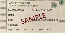 Copy of a Concealed Pistol License