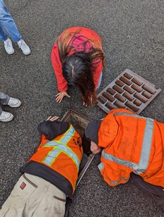 employees rescuing duckings