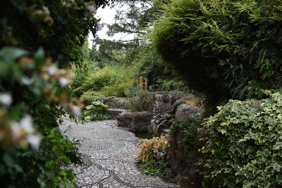 A mosaic stone path through lush greenery.