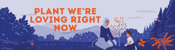 Illustration of a woman planting a tree with a boy and text that reads "plant we're loving right now"