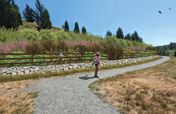 This shows what Alpha Hill may look like once the project is complete. A person walks next to a hill with a rock wall, fence, and landscaping.