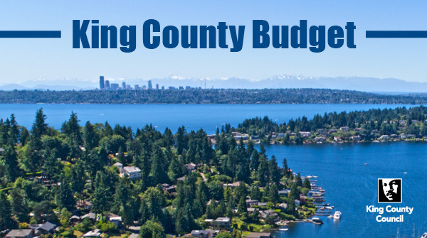 King County budget graphic