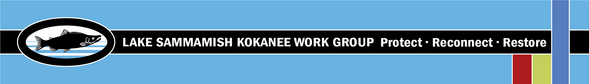 Blue banner with the words Lake Sammamish Kokanee Work Group: Protect, reconnect, restore