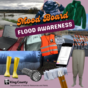 A purple graphic with colorful text that reads Mood Board Flood Awareness. A collage of photos of flooding and items used for flood preparedness 