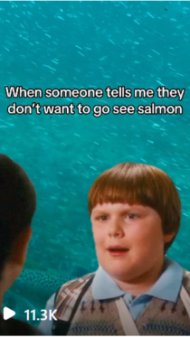 salmon seeson