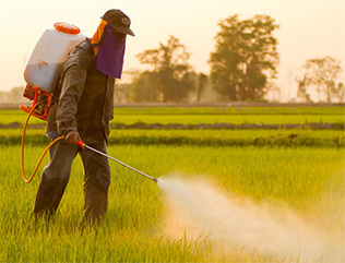 Pesticide application
