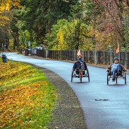 Fall on Eastrail