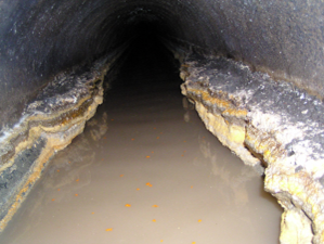 Wastewater drain with grease and oil residue on top of water