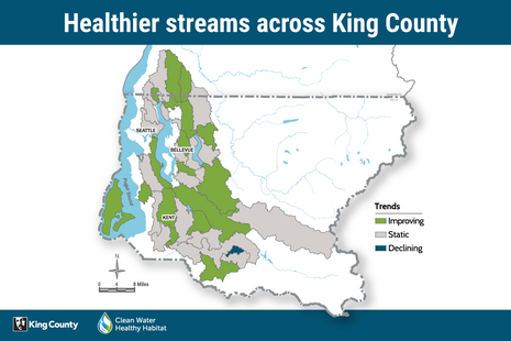 Healthier streams across King County