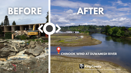 Chinook Wind before and after