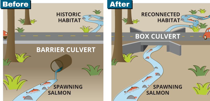 Culverts infographic