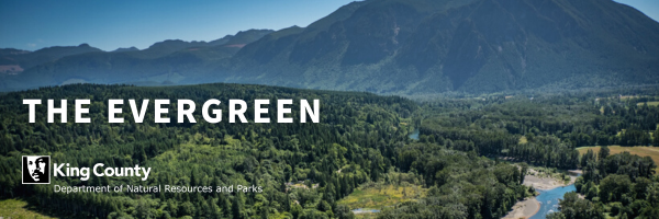 The Evergreen email banner that features a landscape mountain view of King County and includes the King County logo