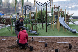 Two people plant trees at Dockton Park and Marina playground