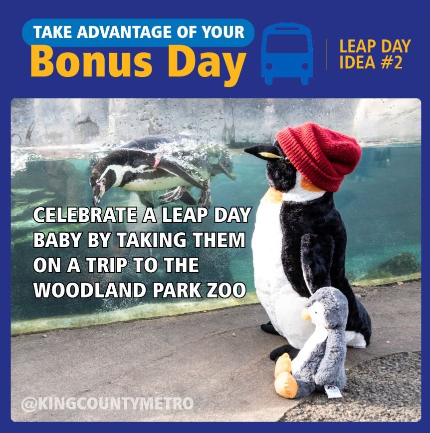 . 2 toy penguins look at real penguins "Celebrate a Leap Day Baby by taking them on a trip to the Woodland Park Zoo," 