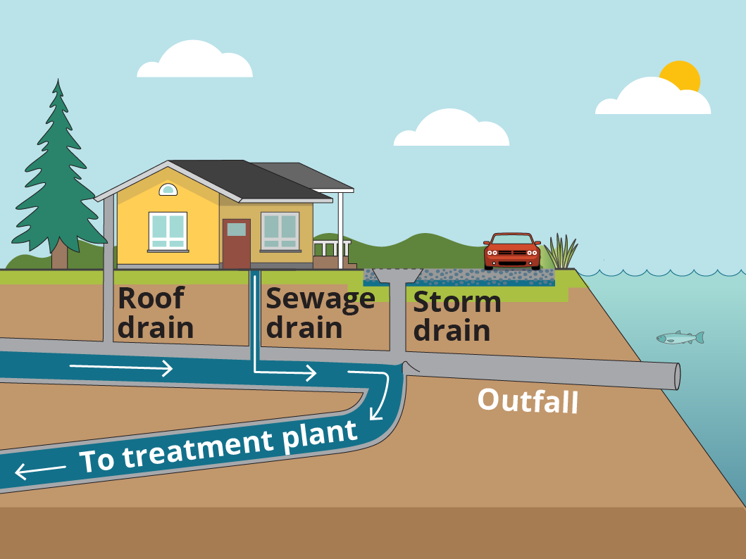 A diagram of house on a dry day. Untreated wastewater enters the County's pipes from the sewage drain. Then it flows to a treatment plant. 