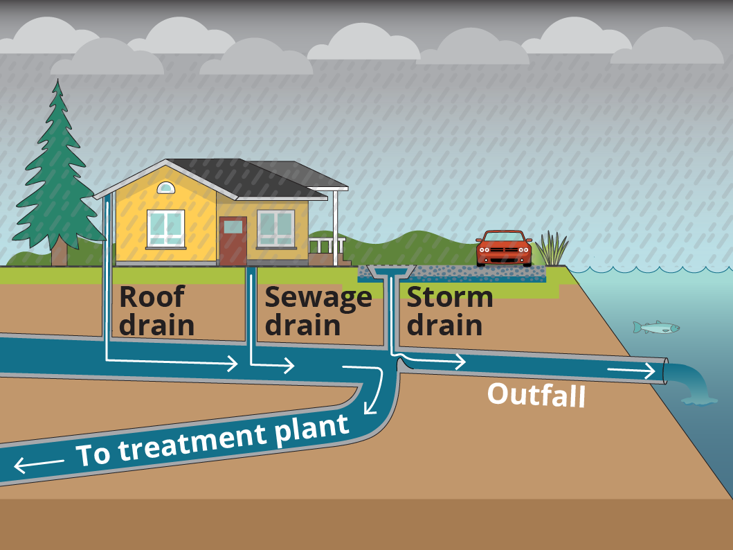 A diagram of a house during heavy rain. Untreated wastewater and stormwater enter County's pipes. Then both flow to a CSO outfall and treatment plant.