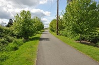 Picture of interurban trail concrete pathway winding through trees and bushes on a sunny day