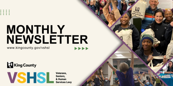 VSHSL newsletter banner