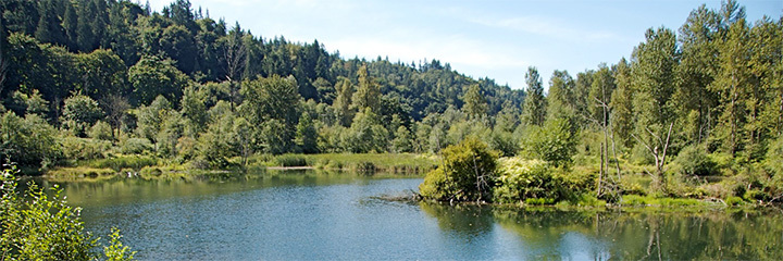 Cavanaugh Pond