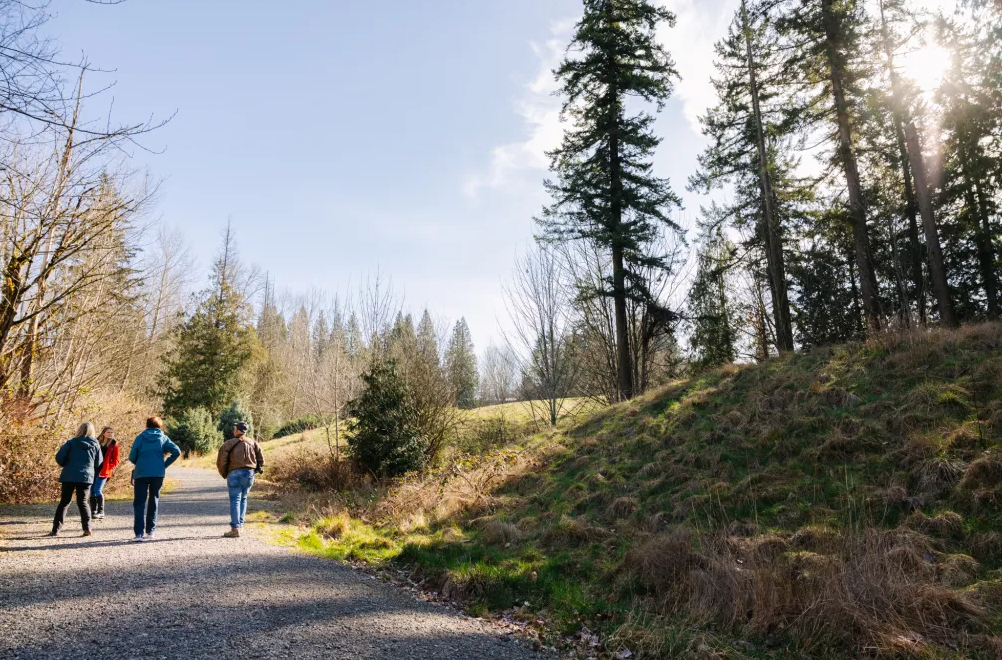Four people walk along a Brightwater trail surrounded by trees and a nearby field.