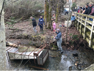 Fry trapping volunteers