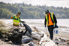 West Point Treatment Plant employee volunteer beach cleanup event at Discovery Park