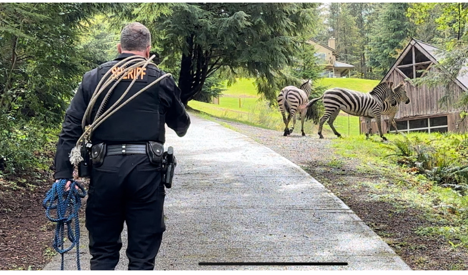 Scott and his friends