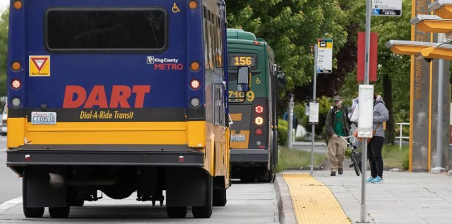 Picture shows rear of a Metro Dart bus in service pulling into bus stop