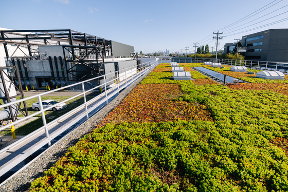 The Georgetown facility's roof has many green features, including succulents, solar panels, skylights, and a great view.