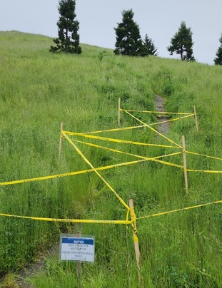 Yellow caution tape blocks access to informal trails on Alpha Hill. The area is closed for restoration. Please stay on designated trails.