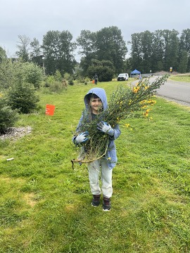 Child holding scotch broom