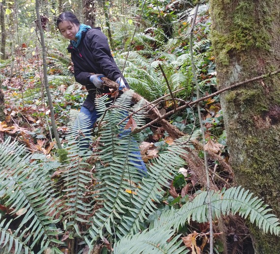 Anyssa Eng ivy- CROP